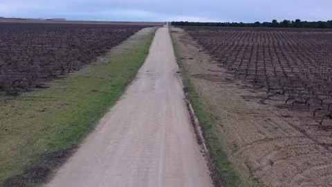 Aerial Drone Flying Backwards Over Winter Vineyard Landscape and Farm Road Stock Footage 330201928