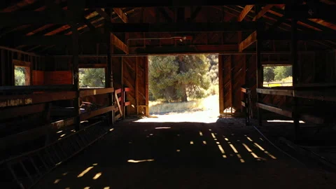 Aerial: Drone Flying Forward Inside Empty Wooden Barn Near Green Trees On Sunny Video stock 244009528