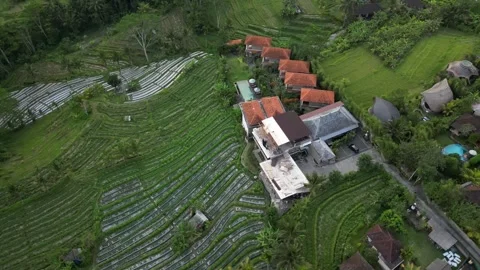 Aerial Drone Flying Forward Over Resort Area Over River and Green Field in Bali Vidéo 327200761
