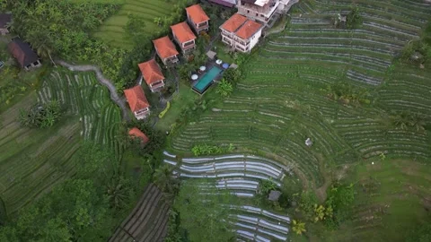 Aerial Drone Flying Forward Over Resort Area Over River and Green Field in Bali Vidéo 327200910