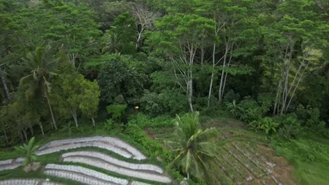Aerial Drone Flying Forward Over Resort Area Over River and Green Field in Bali Vídeo Stock 327256065