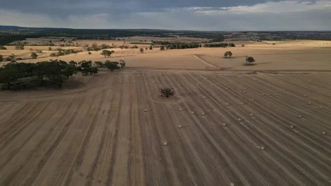 Aerial Drone Flying Forward Over Dry Drought Yellow Farmland in Rural Area Vídeo Stock 328085460