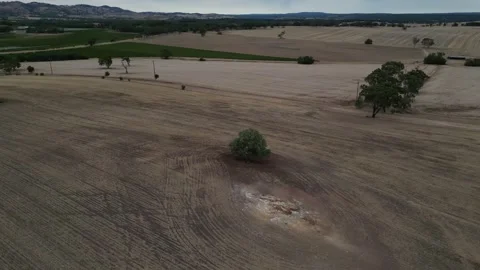 Aerial Drone Flying Forward Over Dry Drought Yellow Farmland In Rural Area Video Stock Footage 328085860