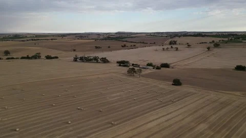 Aerial Drone Flying Forward Over Dry Drought Yellow Farmland In Rural Area Video Stock Footage 328085873