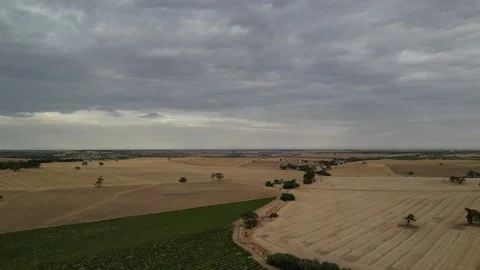 Aerial Drone Flying Forward Over Dry Drought Yellow Farmland In Rural Area Video Vídeo Stock 328086050
