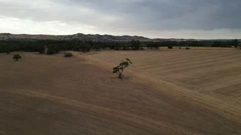 Aerial Drone Flying Forward Over Dry Drought Yellow Farmland In Rural Area Video Vídeo Stock 328086145