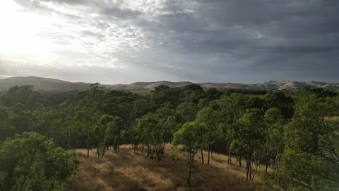 Aerial Drone Flying Forward Over Dry Drought Yellow Farmland in Rural Area Vídeo Stock 328143259