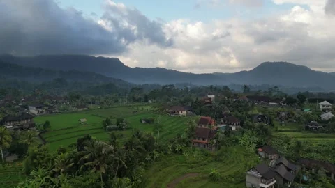 Aerial Drone Flying Forward Over Resort Area Over River and Green Field in Bali Video stock 332463320