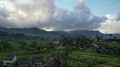 Aerial Drone Flying Forward Over Resort Area Over River and Green Field in Bali 库存影片 332463431