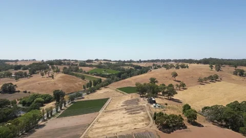 Aerial Drone Flying Forward Over Dry Drought Yellow Farmland in Rural Area Video stock 333365003