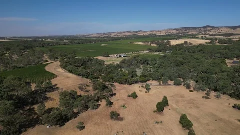Aerial Drone Flying Forward Over Dry Drought Yellow Farmland in Rural Area Video stock 333365748
