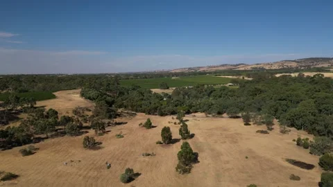 Aerial Drone Flying Forward Over Dry Drought Yellow Farmland in Rural Area 库存影片 333365810