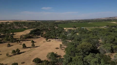 Aerial Drone Flying Forward Over Dry Drought Yellow Farmland in Rural Area 库存影片 333365871