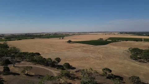 Aerial Drone Flying Forward Over Dry Drought Yellow Farmland in Rural Area Stock Footage 333367497