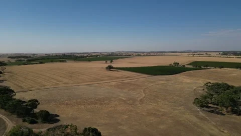 Aerial Drone Flying Forward Over Dry Drought Yellow Farmland in Rural Area Stock Footage 333367503