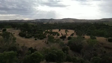 Aerial Drone Flying Forward Over Dry Drought Yellow Farmland in Rural Area Stock Footage 333371841