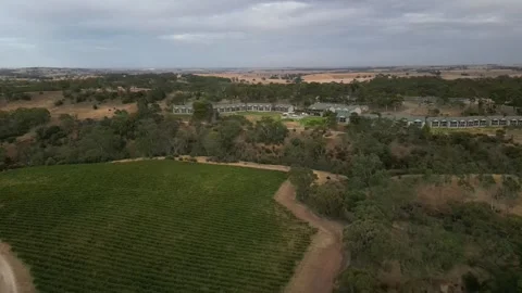 Aerial Drone Flying Forward Over Lush Winery Resort Area, 4K Vídeos de archivo 333371960