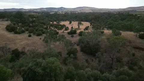 Aerial Drone Flying Forward Over Dry Drought Farmland with Mountain Valley Stock Footage 333372774