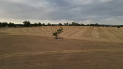 Aerial Drone Flying Forward Over Dry Drought Yellow Farmland in Rural Area 库存影片 333372992