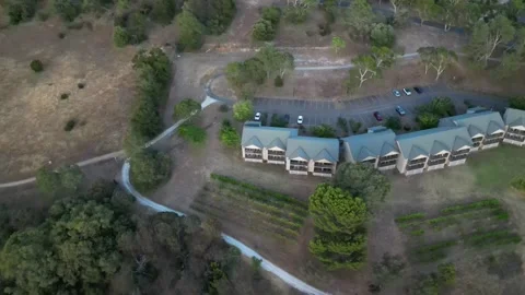 Aerial Drone Flying Forward Over Lush Winery Resort Area, 4K Stock Footage 333373347