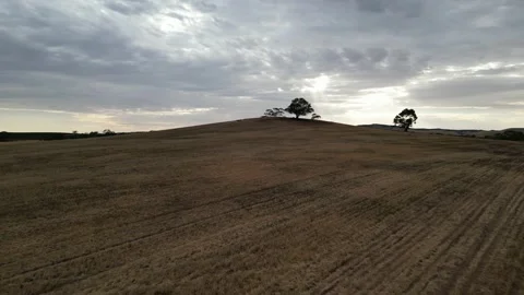 Aerial Drone Flying Forward Over Dry Drought Yellow Farmland in Rural Area Stock Footage 333395732