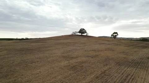 Aerial Drone Flying Forward Over Dry Drought Yellow Farmland in Rural Area Stock Footage 333395738