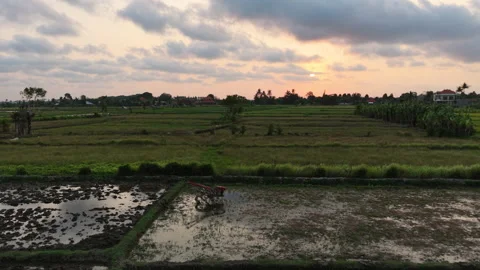 Aerial Drone Flying Forward Over Muddy Rice Field and Hand Tractor at Sunset 動画素材 345148212