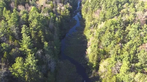Aerial Drone Flying Forward Tilting Down Into Forest River, Acadia National Park 動画素材 267795839