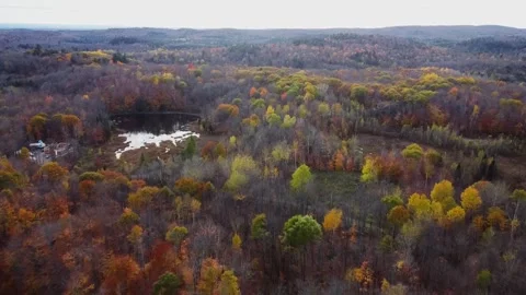 Aerial Drone Flying High Over Autumn Fall Forest And Lakes 動画素材 267795685