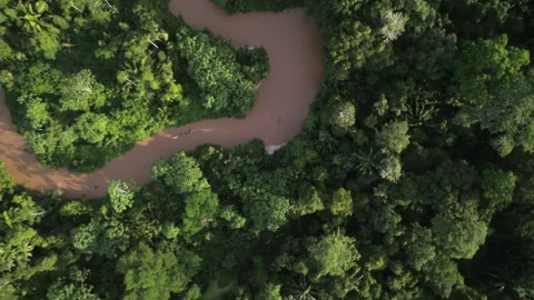Aerial drone flying over Amazon rainforest river Stockbeeldmateriaal 335077699