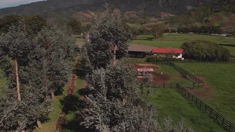 Aerial. Drone flying over eucalyptus trees and a country home. HD Stock Footage 138661902