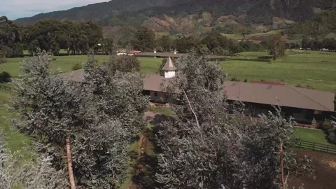 Aerial. Drone flying over eucalyptus trees patway, country living. HD Stock Footage 138662004