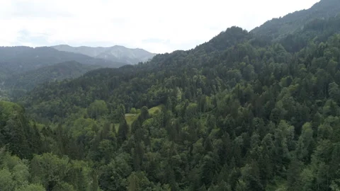 Aerial Drone Flying Over A Forest In Summer In The Austrian Alps Video Stock Footage 266888136