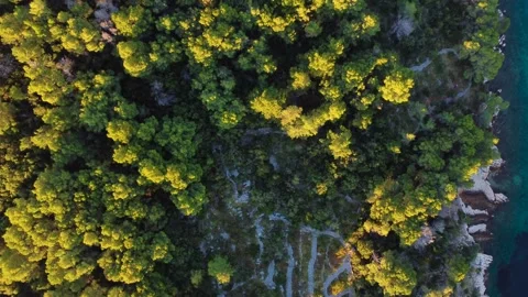 Aerial drone flying over hvar island forest coastline Stock Footage 340182261