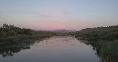 Aerial Drone flying over river towards mountains with wild horses. Stock Footage