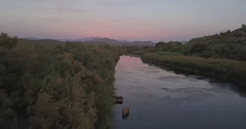 Aerial Drone flying over river towards mountains with wild horses. Stock Footage 82289284