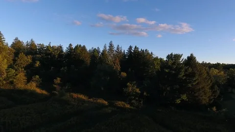 Aerial Drone Flying Over Trees Into The Woods Stock-Footage 112273647