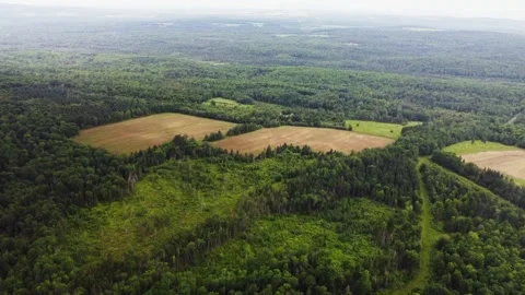 Aerial Drone Flying Over Trees And Fields In The Rain, Quebec Agriculture 動画素材 267795778