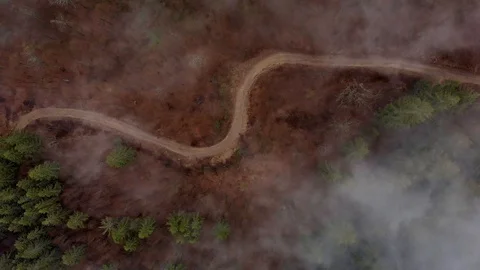 Aerial drone flying spin over road in foggy creepy mountain pine forest Vídeo Stock 107868677