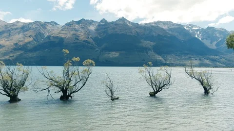 Aerial drone flying through trees in Glenorchy, New Zealand Vídeo Stock 107135912