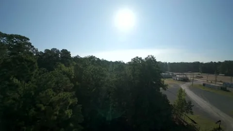 Aerial drone flyover above dense pine forest canopy on a sunny day Stock Footage 346598458