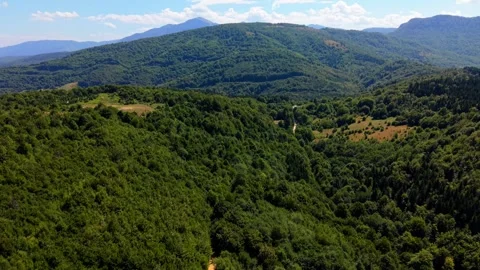 Aerial Drone Flyover of Forest Towards Green Mountain Hills on Ivan Sedlo Stock-Footage 343149915