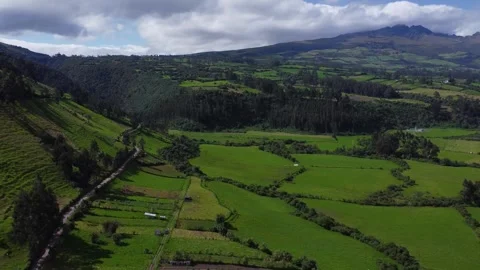 Aerial Drone Flyover Of Green Patchwork Garden Fields On Mountain Slopes Video stock 276834316