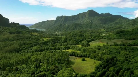 Aerial Drone Flyover Jungle on a tropical island