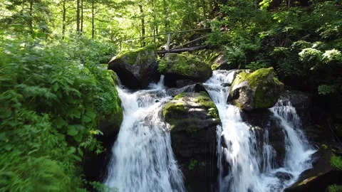 Aerial drone flyover of mountain waterfall in Carpathian forest, green summer Stock Footage 336631693