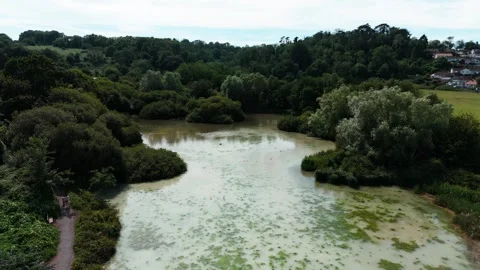Aerial drone flyover of  pond surrounded by trees, Devon, England Stock Footage 337819331