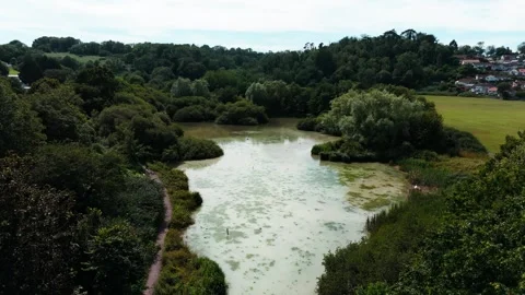 Aerial drone flyover of  pond surrounded by in trees Devon, England Stock Footage 337819332