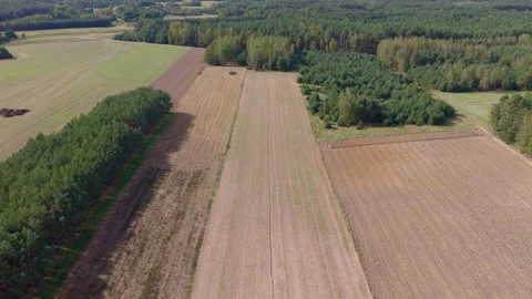 Aerial drone flyover of rectangular fields and pine stand, Europe 動画素材 327094413
