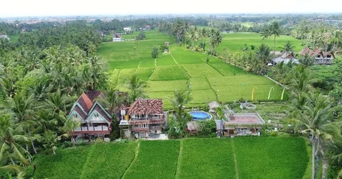 Aerial drone flyover of rice fields and resort Ubud Bali 스톡 동영상 81687708