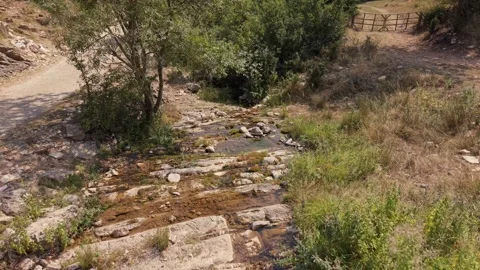 Aerial Drone Flyover of Small Stream in Bjelimici Village Stock-Footage 343150030
